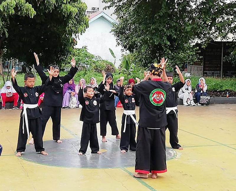 pencak-silat